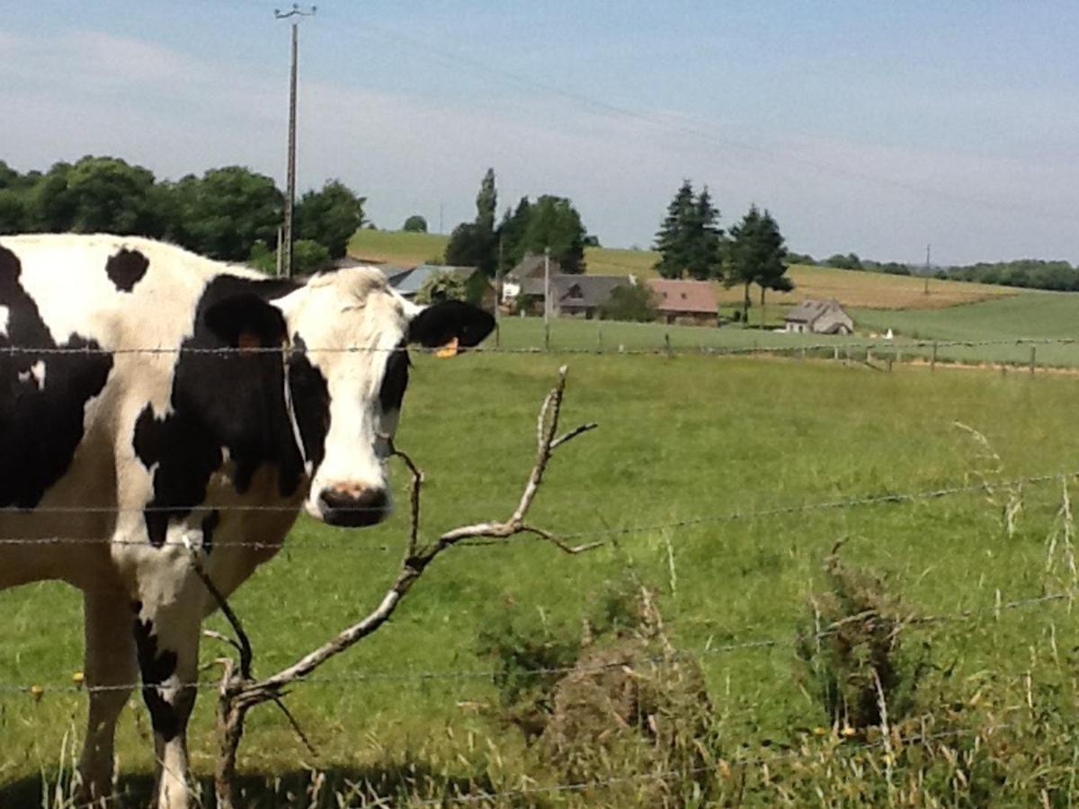 Maison De Campagne Avec Spa, Proche De Vergers Et Cite Medievale, Animaux Acceptes, Recharge Electrique - Fr-1-497-101 L'Epinay-le-Comte Exteriér fotografie